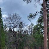 Review photo of Barton Flats Campground by Amber R., May 22, 2023