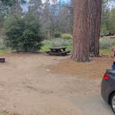 Review photo of Barton Flats Campground by Amber R., May 22, 2023