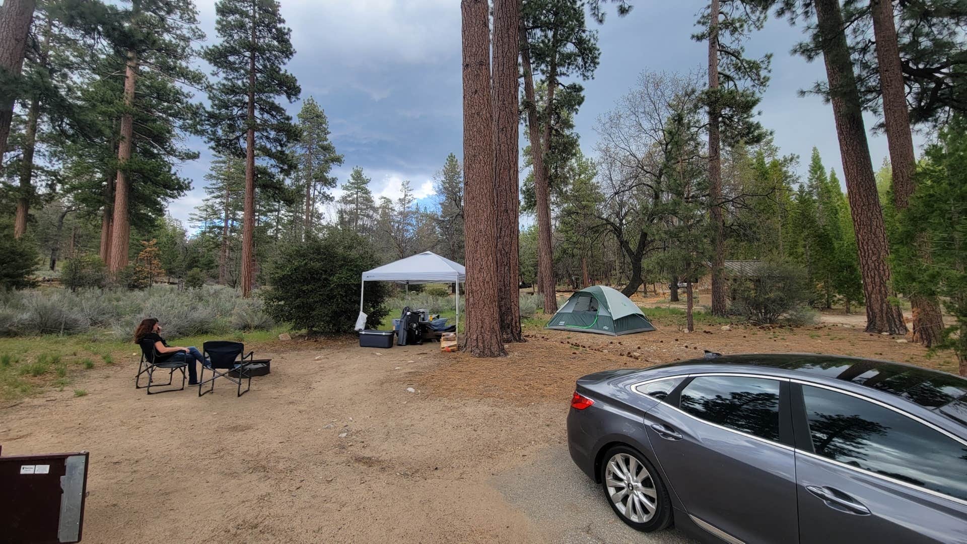 Amber R.'s photo at Barton Flats Campground near Big Bear Lake, CA