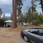 Review photo of Barton Flats Campground by Amber R., May 22, 2023