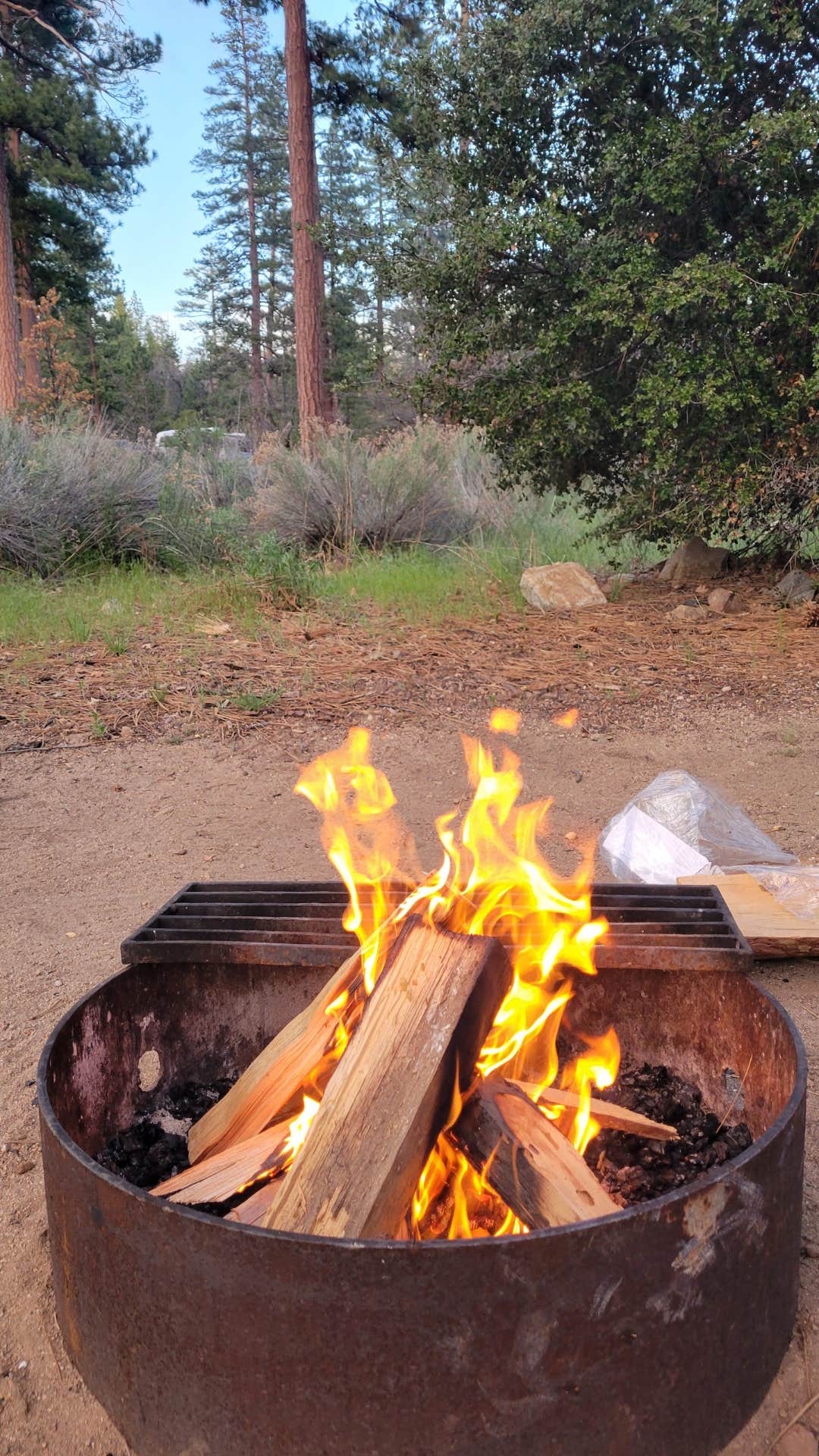 Barton Flats Campground