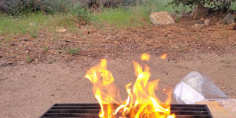 Camper submitted image from Barton Flats Campground