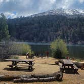 Review photo of Barton Flats Campground by Amber R., May 22, 2023