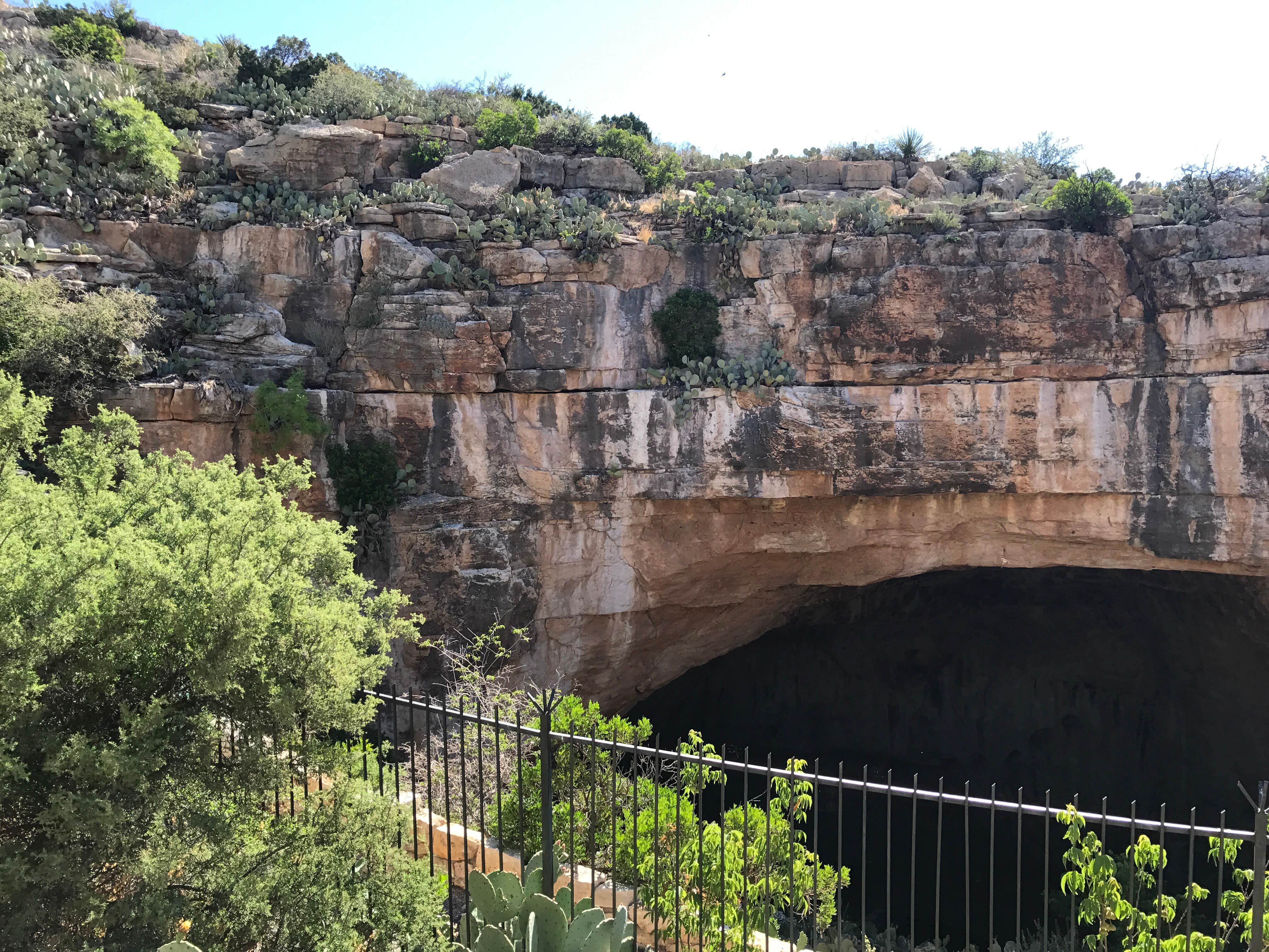 Camper submitted image from Rattlesnake Canyon - Backcountry Camping — Carlsbad Caverns National Park - 4