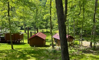 Carol G.'s photo of a cabin at Camp Cacapon near Clearville, PA