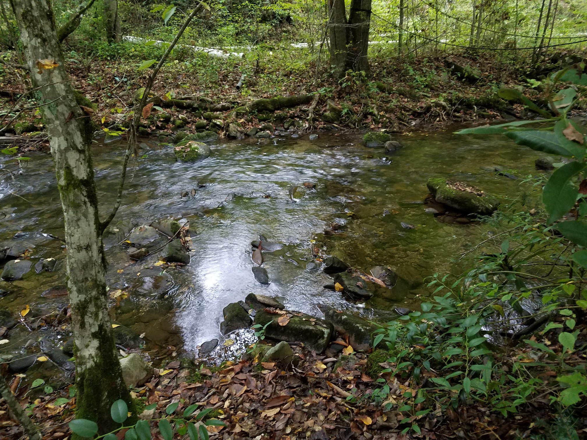 Camper submitted image from Tumbling Waters Campground and Trout Pond - 3