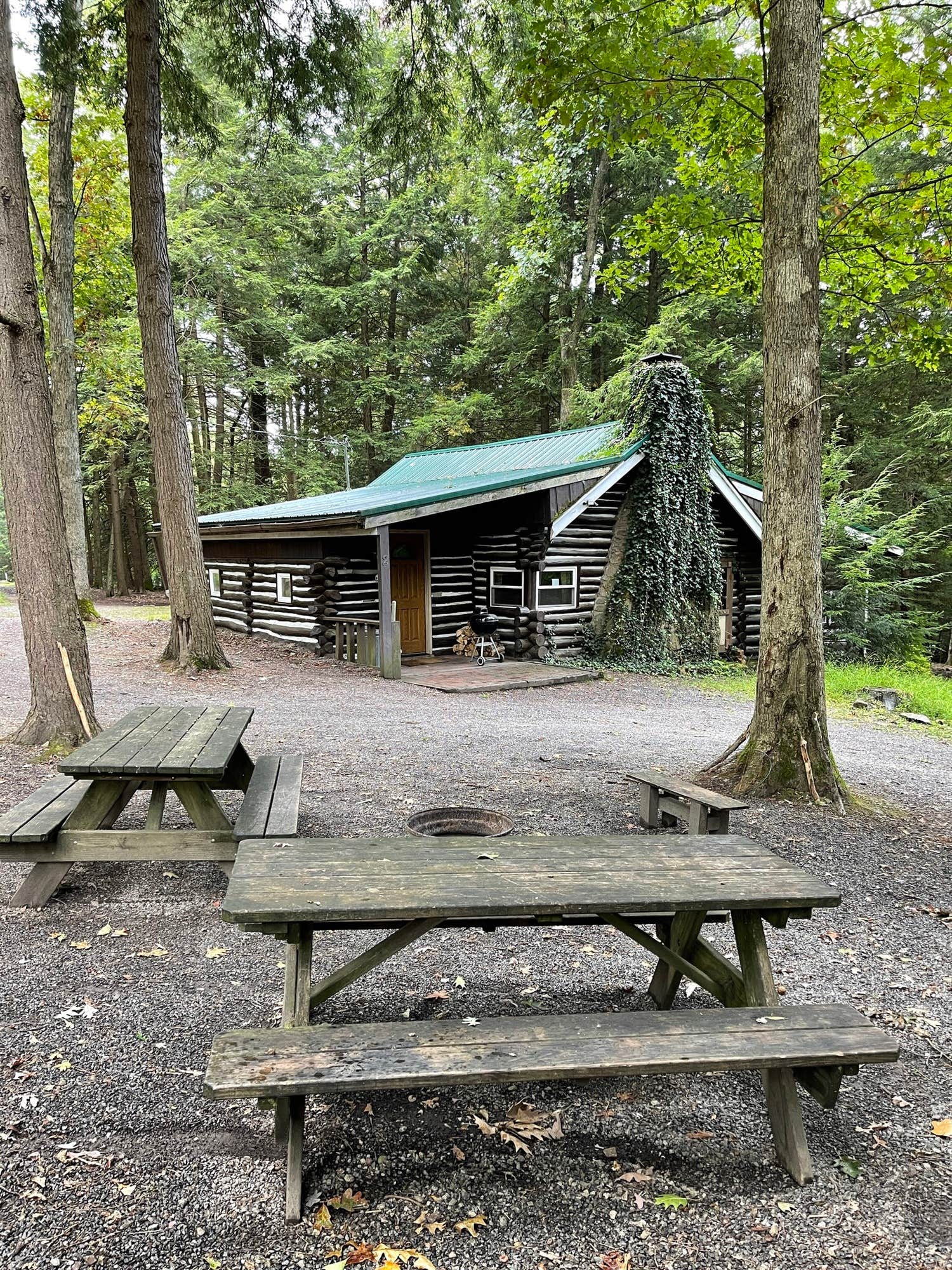 The Dyrt's photo of a cabin at Hominy Ridge Cabins and Gift Shop near Marienville, PA