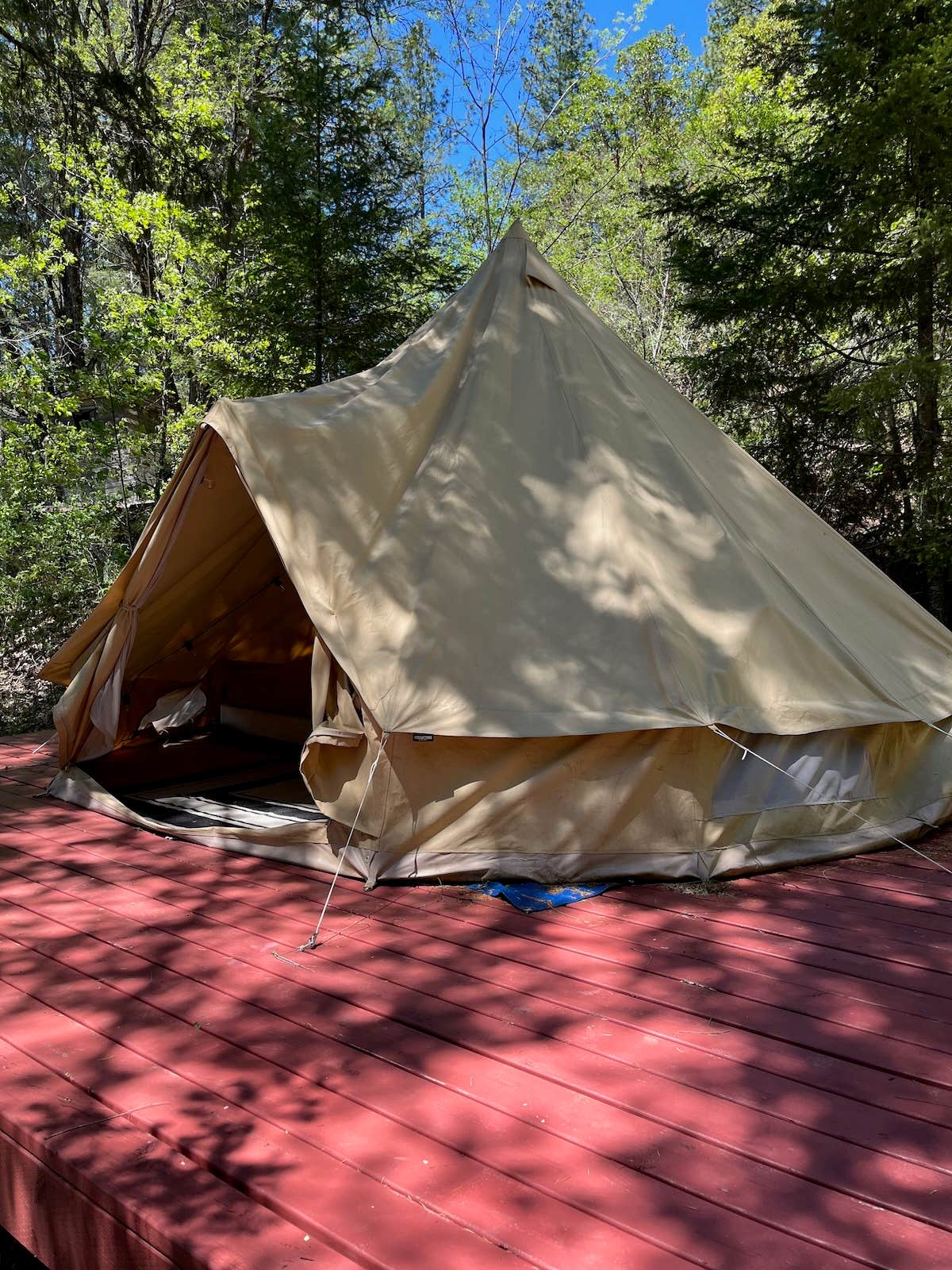 Camper submitted image from Mendocino Magic - 2