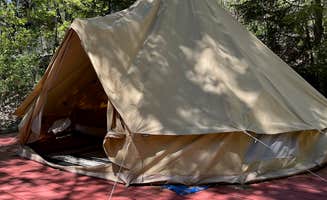 The Dyrt's photo at Mendocino Magic near Leggett, CA