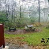 Review photo of Loft Mountain Campground — Shenandoah National Park by Mary S., October 12, 2018