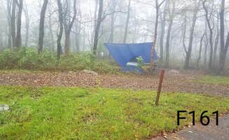 Mary S.'s photo at Loft Mountain Campground — Shenandoah National Park near Dyke, VA