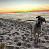 Review photo of Lake Michigan Recreation Area by Clair M., October 12, 2018