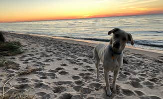 Clair M.'s photo of camping with pets at Lake Michigan Recreation Area near Free Soil, MI