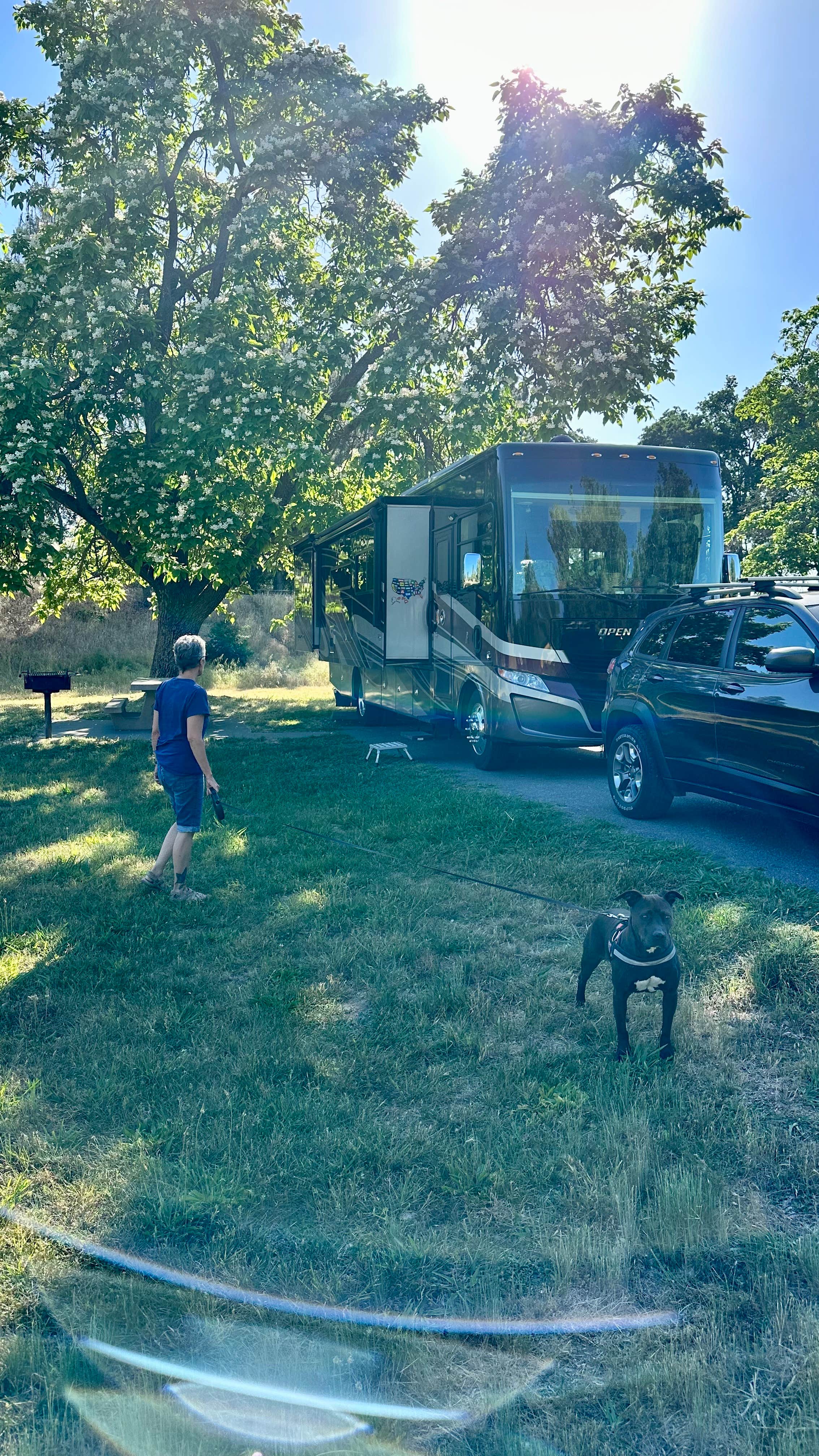 Ray & Terri F.'s photo of camping with pets at Sycamore Grove (red Bluff) Campground near Chico, CA