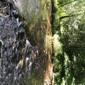 Review photo of Cades Cove Group Campground — Great Smoky Mountains National Park by Crystal C., October 12, 2018