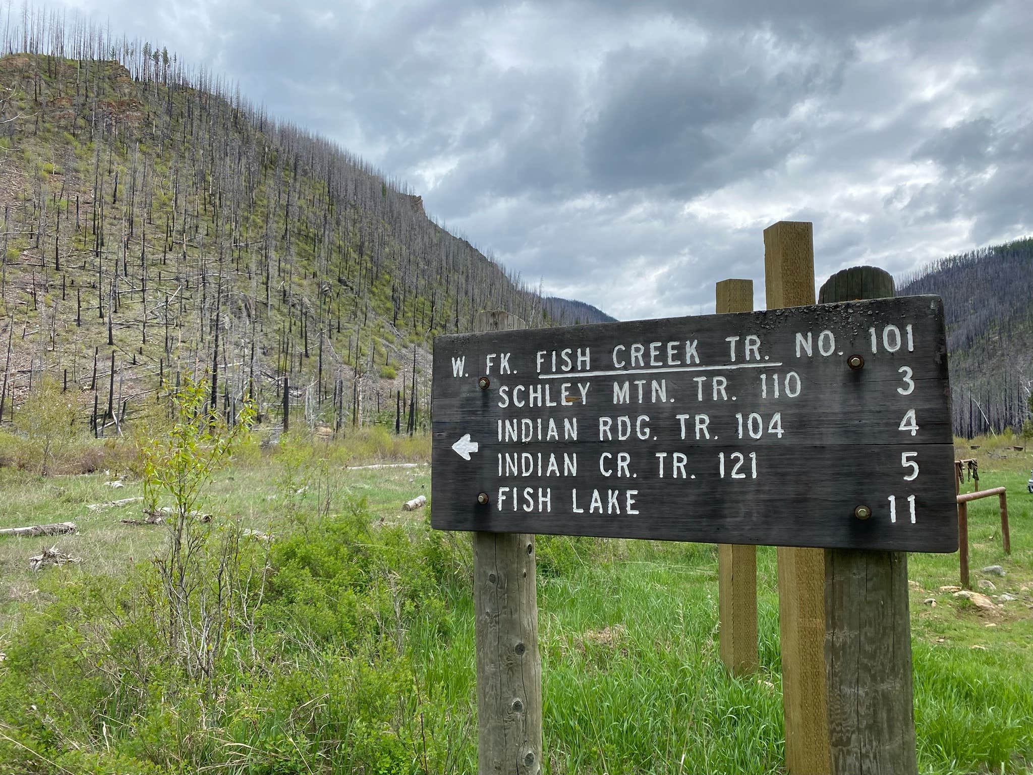 Camping near Quartz Flat Campground: Clearwater Crossing Campground, Alberton, Montana