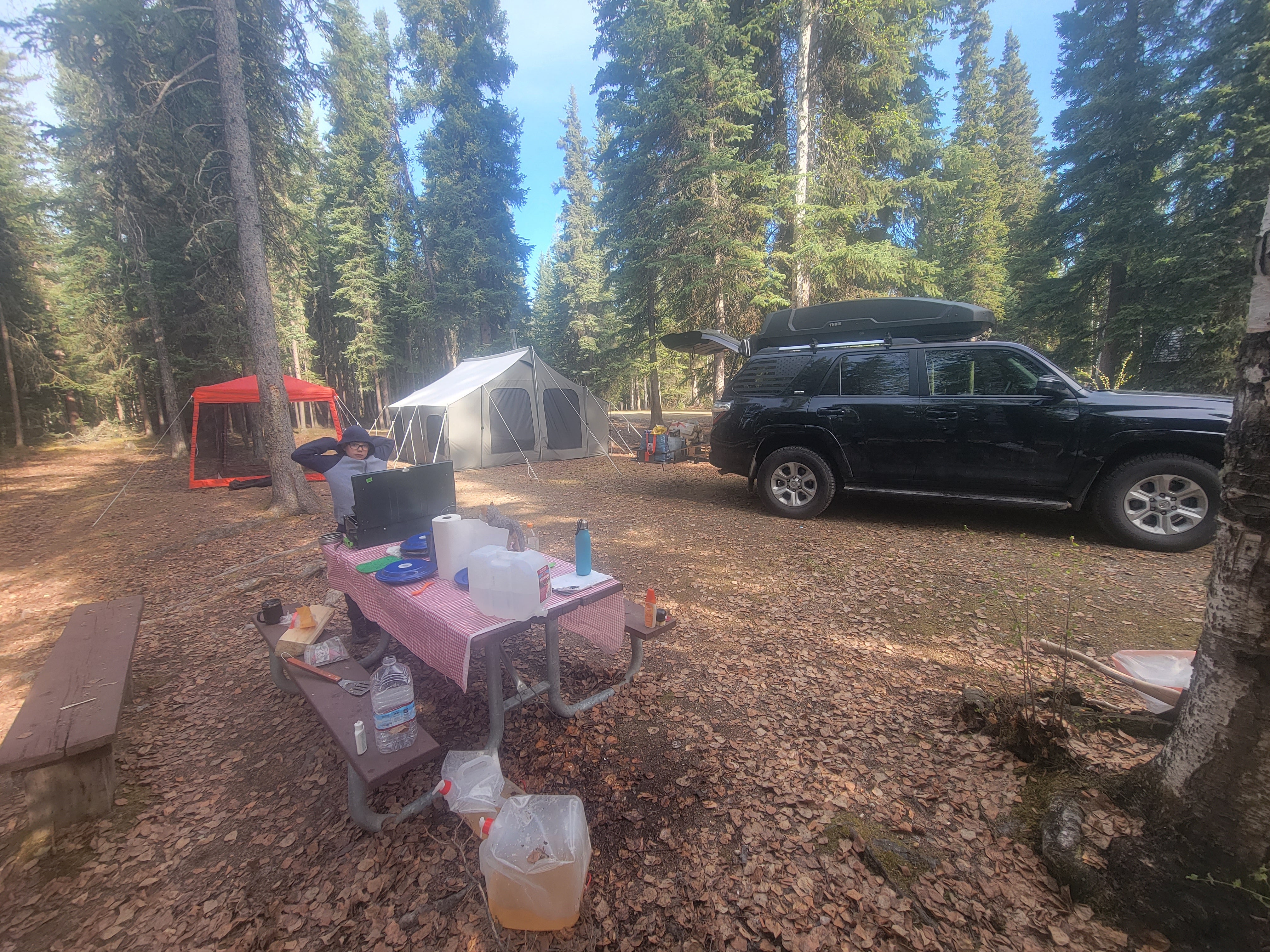 Camper submitted image from Harding Lake State Recreation Area - 1
