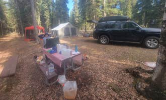 Camping near Big Delta State Historical Park: Harding Lake State Recreation Area, Salcha, Alaska