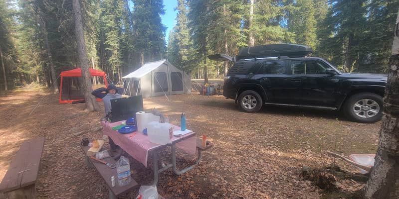 Camper submitted image from Harding Lake State Recreation Area