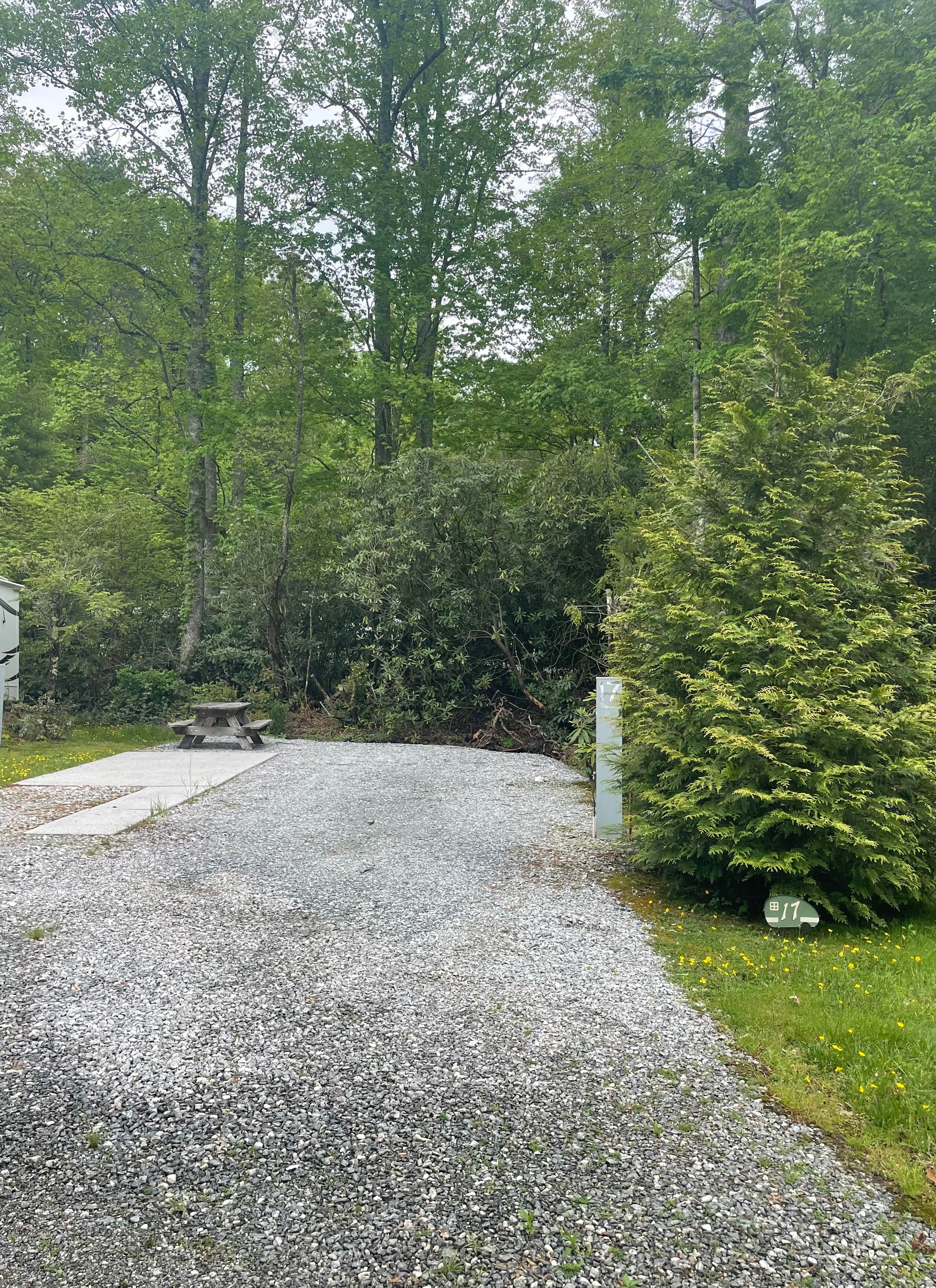 Camper-submitted photo at Blue Ridge Falls RV Resort near Balsam Grove, NC