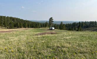 Camping near Spring Creek Road Spur: North Pole Rd Dispersed Camping, Custer, South Dakota