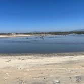 Review photo of Tijuana River Valley Regional Park Campground by Nina M., May 23, 2023