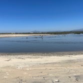Review photo of Tijuana River Valley Regional Park Campground by Nina M., May 23, 2023