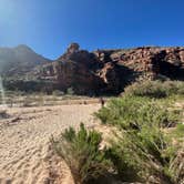 Review photo of Virgin River Gorge (BLM) by Nina M., May 23, 2023