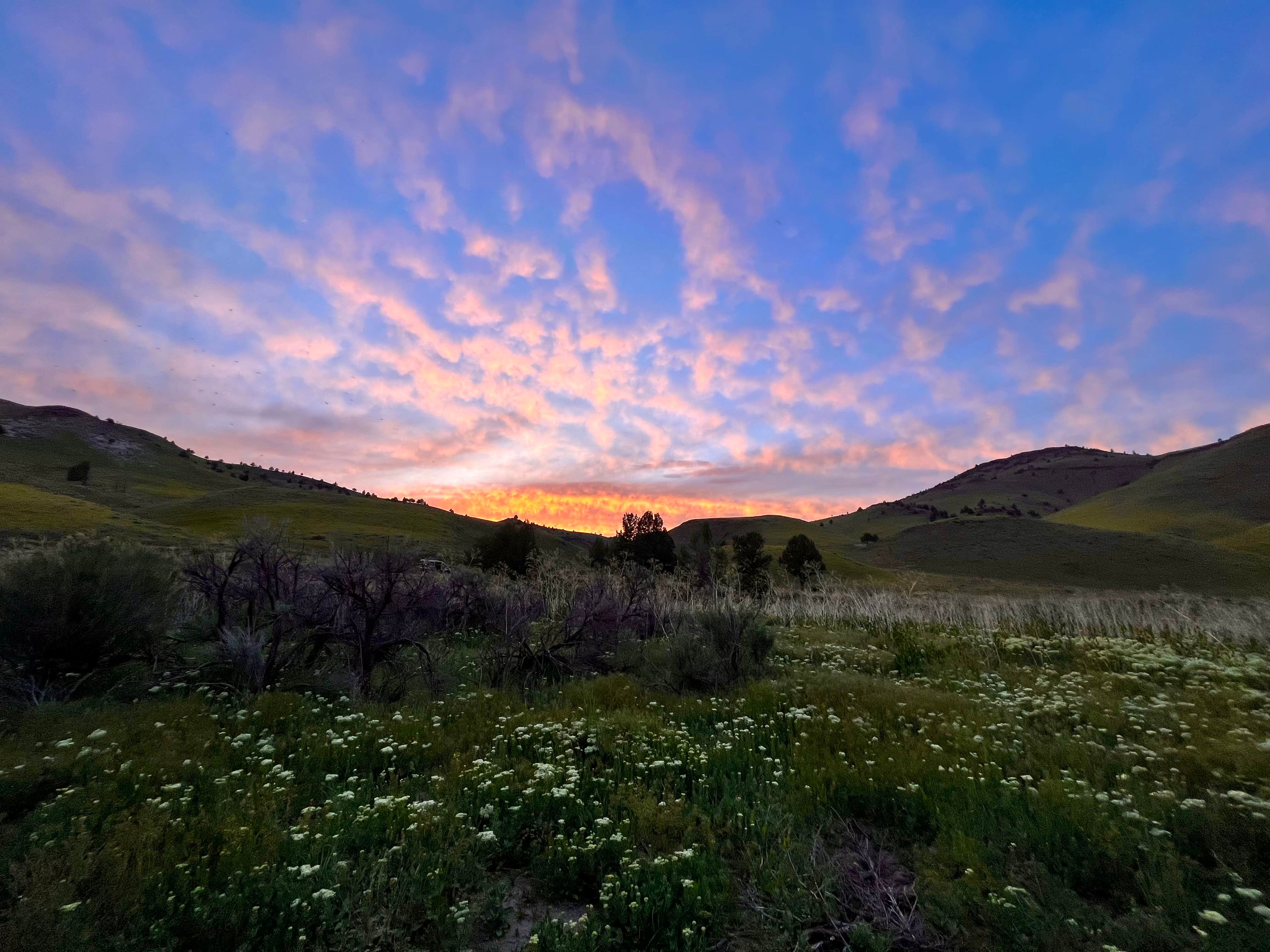 Juntura Hot Springs Dispersed