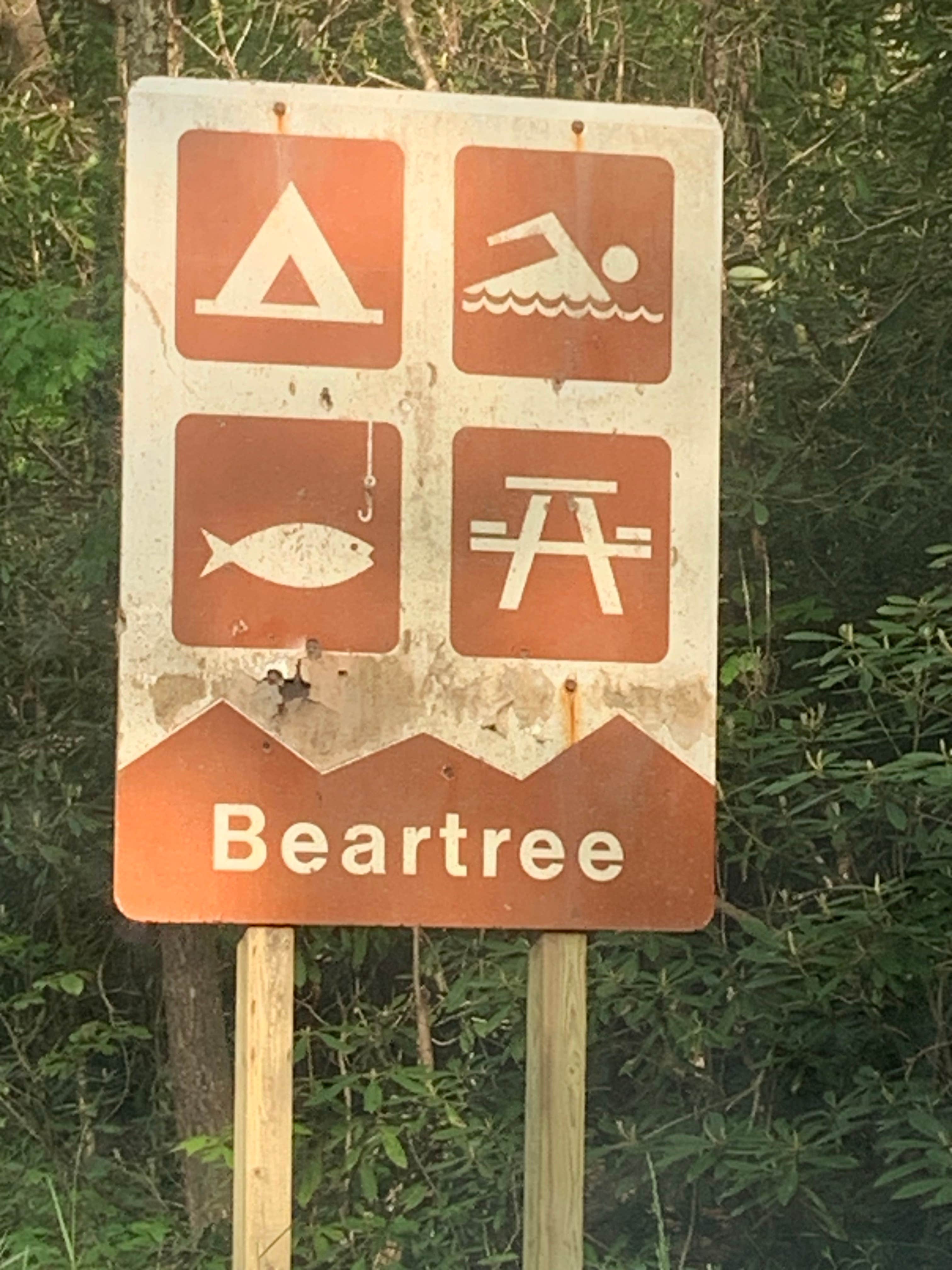 Camper-submitted photo at Jefferson National Forest Beartree Campground near Laurel Bloomery, TN