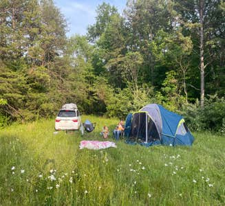 Camper-submitted photo from Swain Ridge