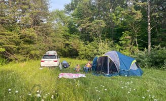 Sierra E.'s photo of a dispersed camping area at Swain Ridge near Keavy, KY