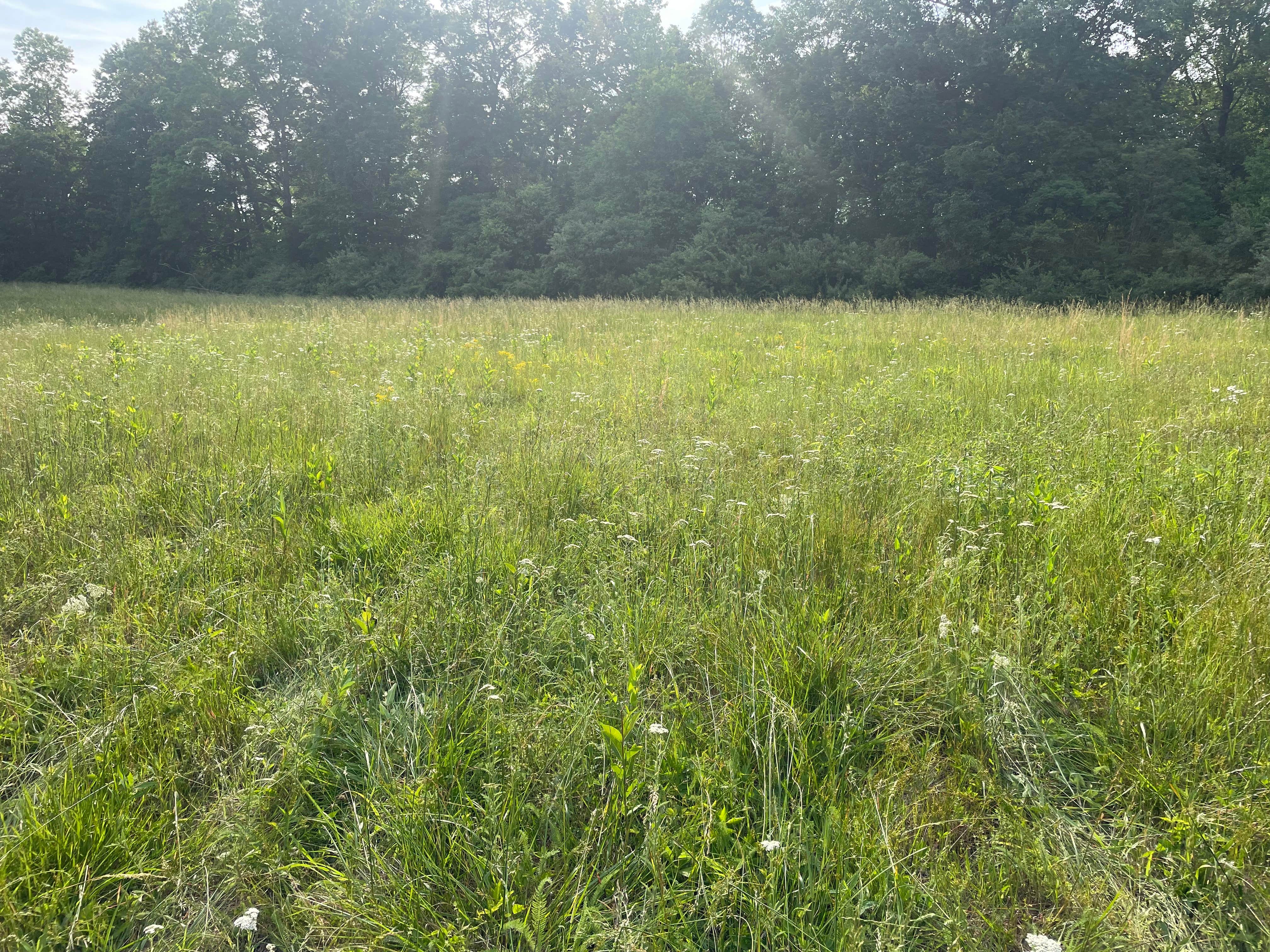 Camper-submitted photo at Swain Ridge near Byrdstown, TN