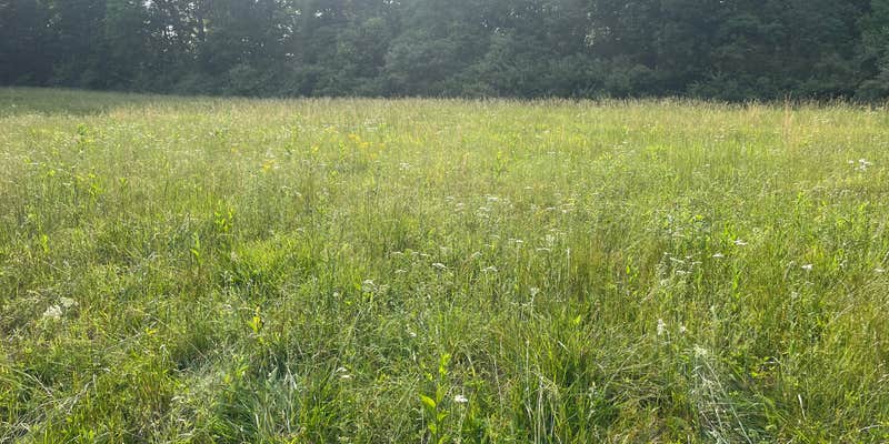 Camper submitted image from Swain Ridge