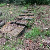 Review photo of Jefferson National Forest Beartree Campground by Michael W., May 23, 2023