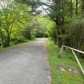 Review photo of Jefferson National Forest Beartree Campground by Michael W., May 23, 2023