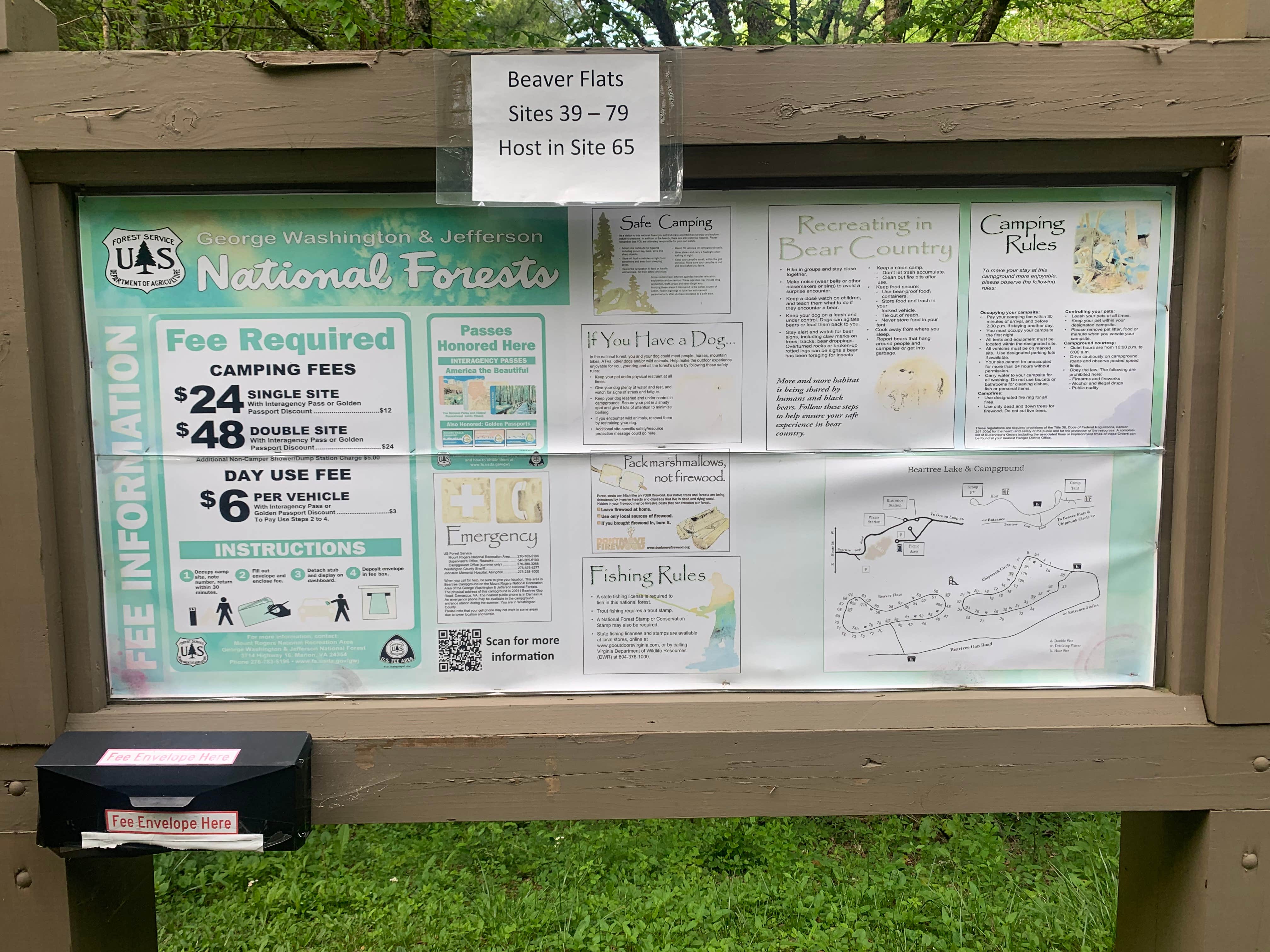 Camper-submitted photo at Jefferson National Forest Beartree Campground near Laurel Bloomery, TN