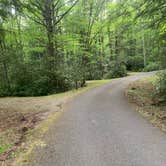 Review photo of Jefferson National Forest Beartree Campground by Michael W., May 23, 2023