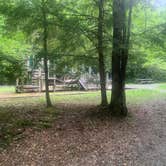 Review photo of Jefferson National Forest Beartree Campground by Michael W., May 23, 2023