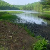 Review photo of Jefferson National Forest Beartree Campground by Michael W., May 23, 2023