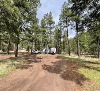 Camper-submitted photo from Cibola National Forest Bear Trap Campground