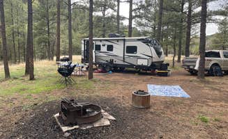 Brad P.'s photo at El Caso near Reserve, NM