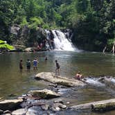 Review photo of Elkmont Campground — Great Smoky Mountains National Park by Alison C., October 8, 2018