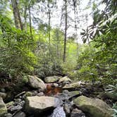 Review photo of Canaan Loop Road Dispersed by Maegen C., May 23, 2023