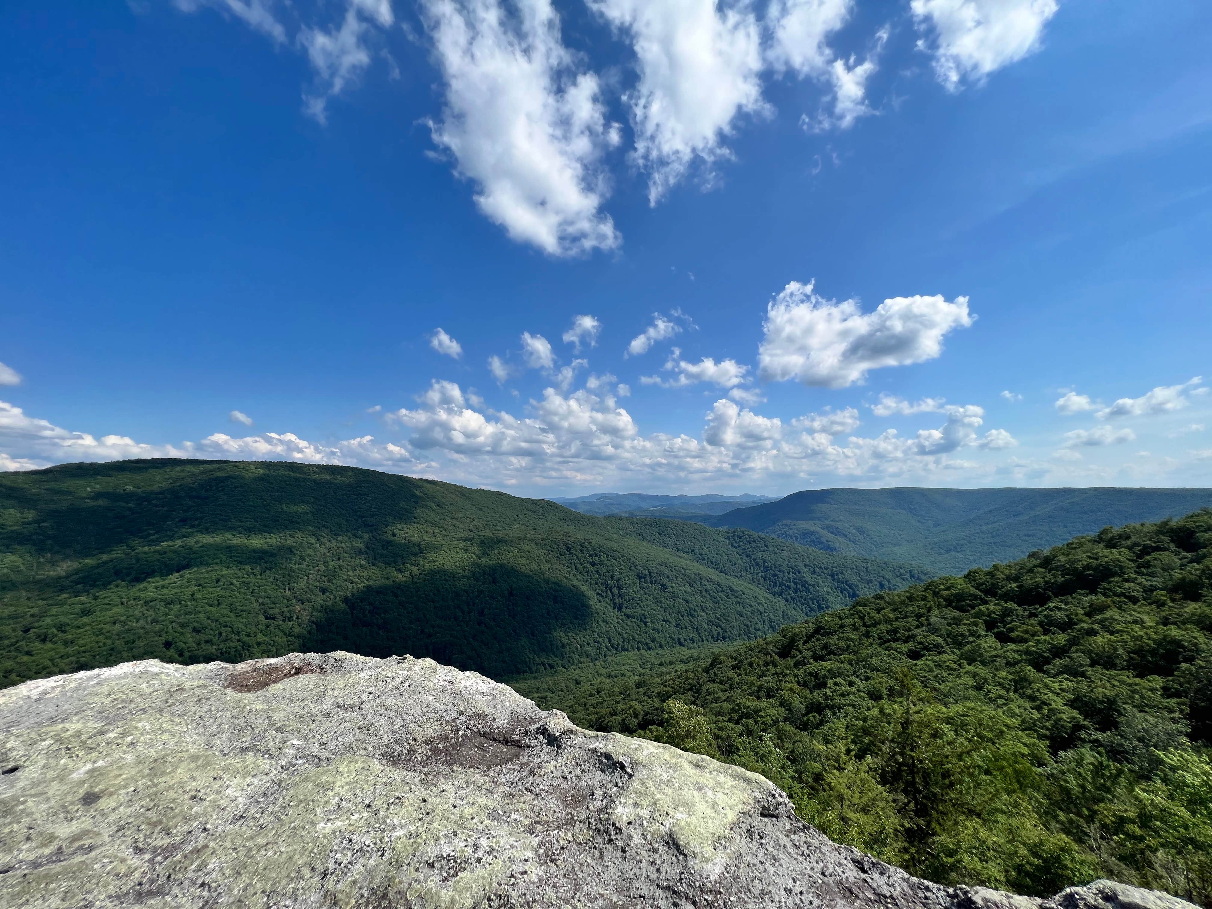 Maegen C.'s photo of a dispersed camping area at Canaan Loop Road Dispersed near Masontown, WV
