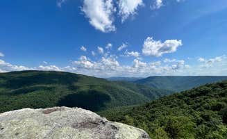 Maegen C.'s photo of a dispersed camping area at Canaan Loop Road Dispersed near Westernport, MD