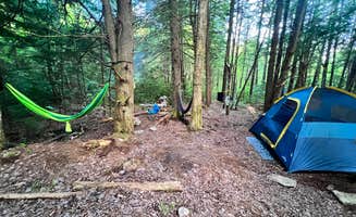 Maegen C.'s photo at Canaan Loop Road Dispersed near Thomas, WV