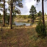 Review photo of Fool Hollow Lake Recreation Area Campground by Krista Z., October 12, 2018