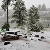 Review photo of Fool Hollow Lake Recreation Area Campground by Krista Z., October 12, 2018
