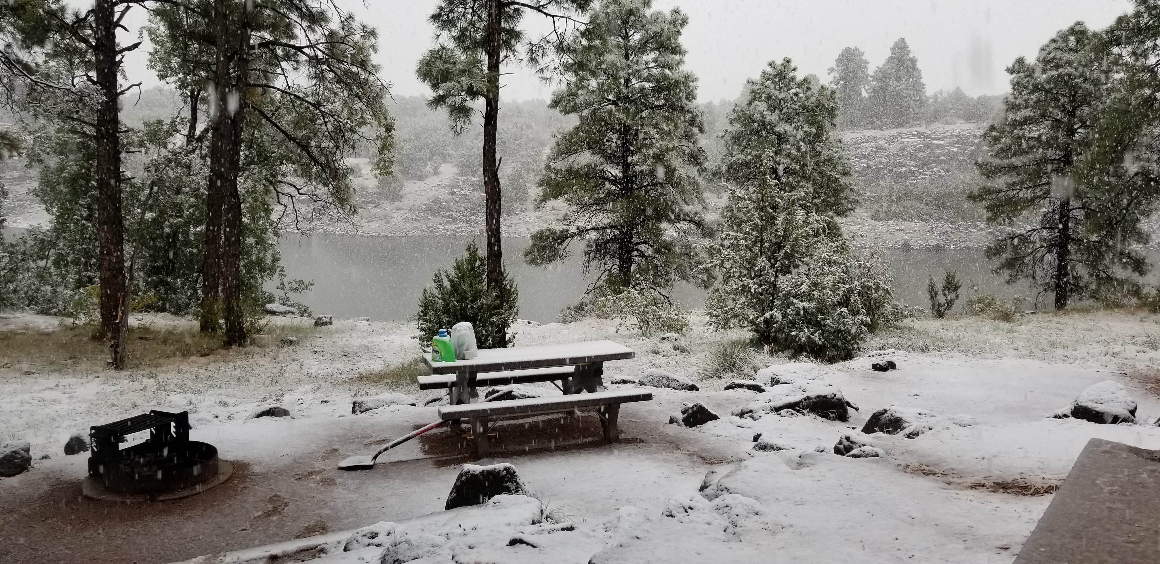 Camper submitted image from Fool Hollow Lake Recreation Area Campground - 4